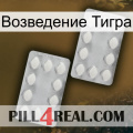 Возведение Тигра 17